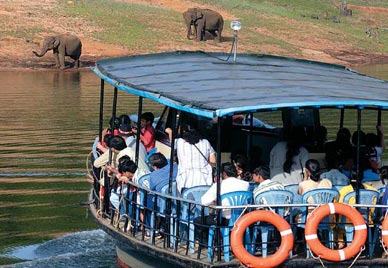 boat safari pobitora