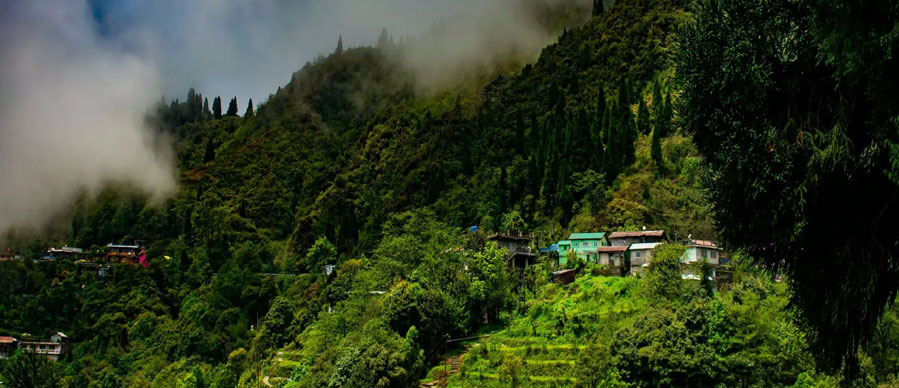 guwahati pobitora tour