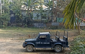 pobitora wildlife sanctuary jeep safari price