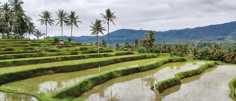mayong village tour