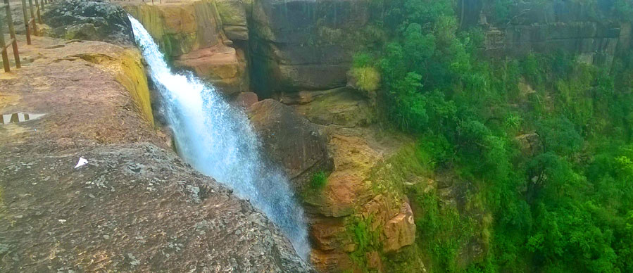 pobitora tour from guwahati