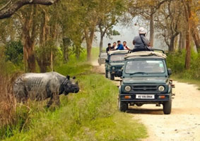 pobitora wildlife sanctuary jeep safari price