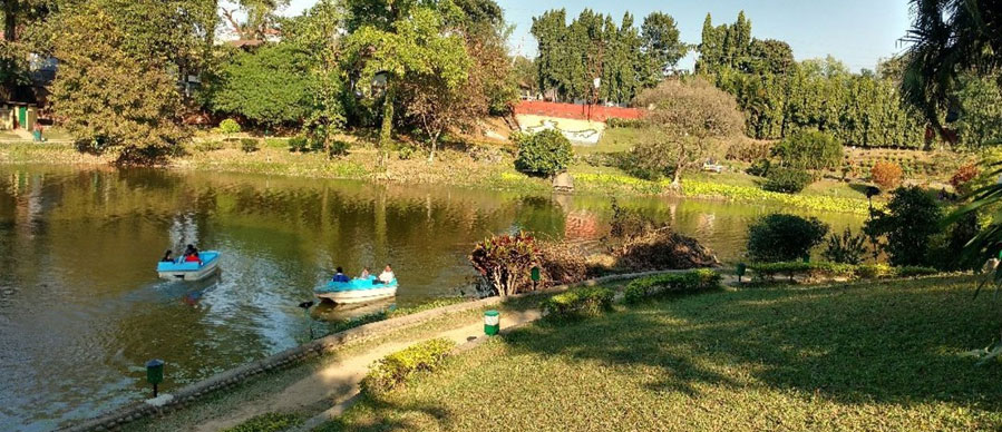 pobitora and tejpur tour